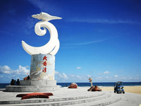 阳江 (阳江试管婴儿)