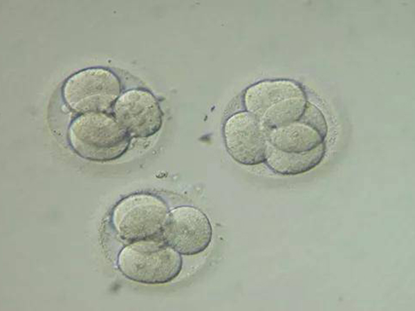 9c2