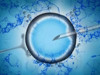 3bb