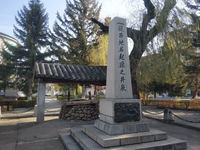 龙井 (龙井试管婴儿)