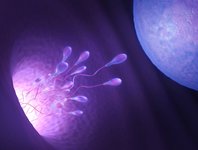 卵子冷冻大突破！量子冷冻技术复苏率超98%，生育力保存更靠谱