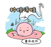 做试管婴儿男方取精困难会做睾丸穿刺取精吗？