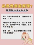 陈蓉医生擅长妇科内分泌原因导致的不孕吗？怎么判断要不要挂她的号？