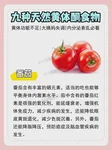 中国医学科学院北京协和医院冷金花医生试管婴儿助孕方案制定水平如何？