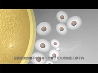 广东试管婴儿医院哪家好？十大生殖中心技术成功率排名对比