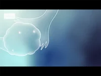 反复生化妊娠后再次怀孕保胎成功率高吗？