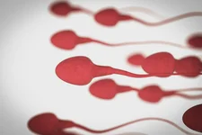 北京大学第一医院赫英东医生试管婴儿方案制定水平如何？