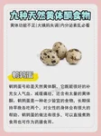 备孕一年没怀上，查试管婴儿费用要多少钱？