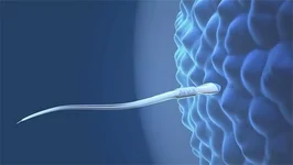 兰大二院试管婴儿成功率有多高？2026年最新数据与全流程费用一次讲清